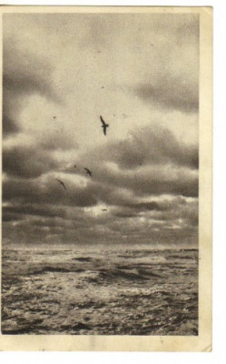 bnk cp constanta - peisaj marin - 1957 foto