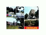 CP141-71 Caciulata -circulata 1980