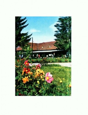 CP141-99 Izvorul Muresului -Vedere -circulata 1974 foto