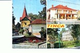 CP100-33 -Tinca -circulata 1979