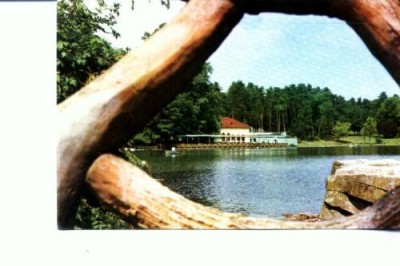 CP100-42 -Craiova -Vedere din Parcul poporului -circulata 1973 foto