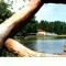 CP100-42 -Craiova -Vedere din Parcul poporului -circulata 1973