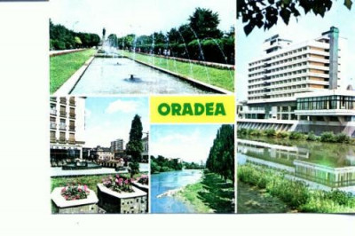 CP101-49 Oradea: 1 Parcul &amp;quot;23 August&amp;quot;; 2Aspect citadin; 3... foto