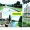 CP101-49 Oradea: 1 Parcul &quot;23 August&quot;; 2Aspect citadin; 3...