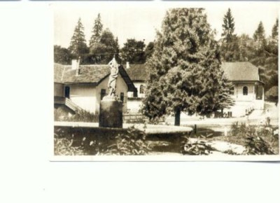 CP88-16 -Borsec -Vedere din parc -RPR -(sepia) -necirculata foto