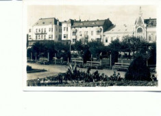 CP88-50 -Szatmarnemeti -Horthy Miclos (Satu-Mare) antebelica foto