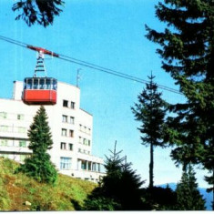 CP41-19-Sinaia-Hotel Alpin Cota 1400