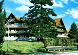 CP41-07-Timisu de Sus-Hotel ,,Timis&quot;