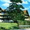 CP41-07-Timisu de Sus-Hotel ,,Timis&quot;