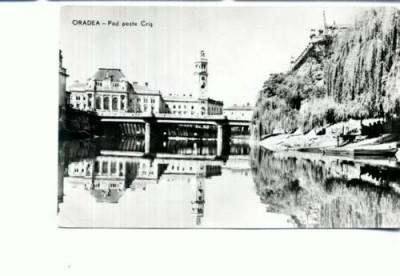 CP71-28- Oradea- Pod peste Cris - RPR(circulata 1964) foto