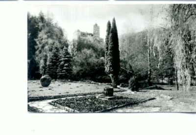 CP71-30- BRAN- Vedere din parcul castelului- RPR(necirculata) foto