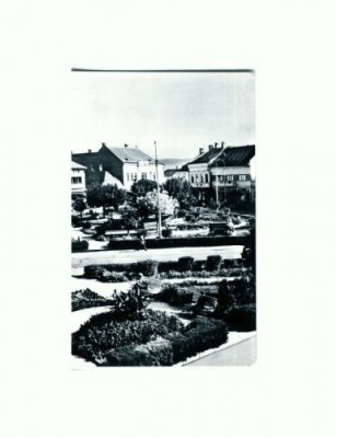 CP117-79 -Vedere din Fagaras -RPR -circulata 1964 foto
