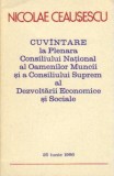 N Ceausescu - Cuvantare la plenara consiliului national al ....