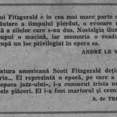 Francis Scott Fitzgerald - Cei frumosi si blestemati