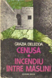 Grazia Deledda - Cenusa * Incendiu intre maslini