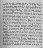 Nicolae Margeanu - Vremea crizantemelor, 1984