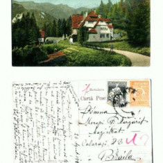CP107-42 -Sinaia -Vedere cu Floraria Castelului Peles -1924