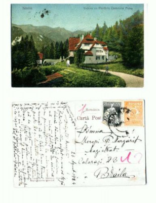 CP107-42 -Sinaia -Vedere cu Floraria Castelului Peles -1924 foto