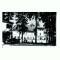 CP117-33 Borsec -Casa de odihna -RPR -circulata 1962