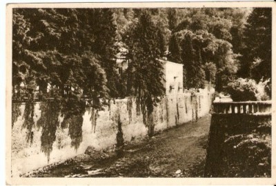 R425 Herculane UNC 201 RPR foto