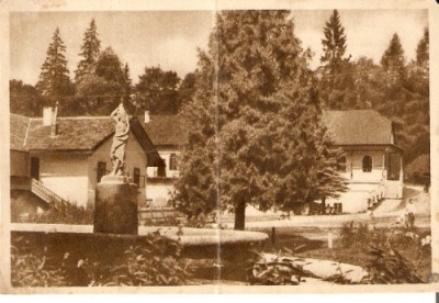 R433 Borsec circulat RPR 890 IPI foto