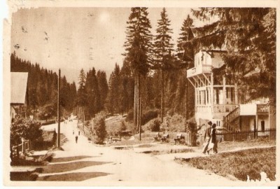 R334 Borsec circulat 235 IPI RPR foto