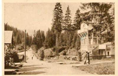 R435 Borsec circulat RPR 65 foto