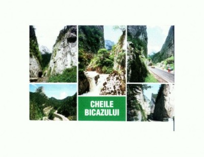 CP142-70 Cheile Bicazului -circulata 1996 foto