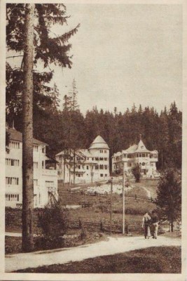 1RPR Borsec Casa de Odihna CCS foto