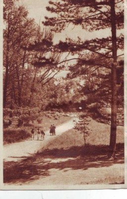 3RPR Bucuresti Gradina Botanica foto