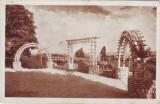 Turnu Severin,parcul rozelor, necirculat ,anterior 1947