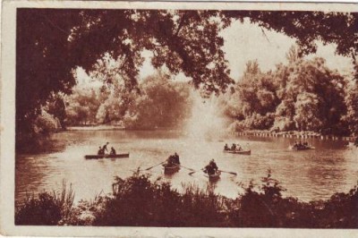 Bucuresti,Lacul Cirmigiu foto