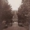 Avrig-parc