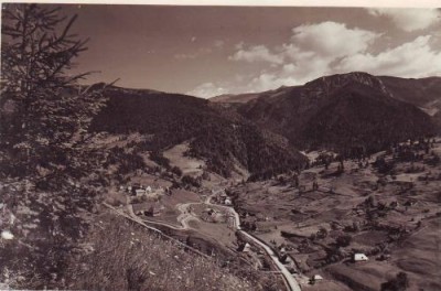 Baia Borsa,vedere generala foto