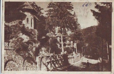 11 RPR Sinaia Vedere partiala foto