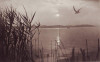Balaton Pescarusi, deasupra lacului, foto, circ 1941