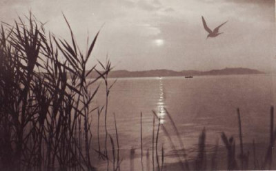 Balaton Pescarusi, deasupra lacului, foto, circ 1941 foto