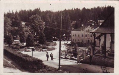 borsec,vedere din parc foto