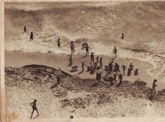 32 RPR Vasile Roaita Tabara 1954 foto