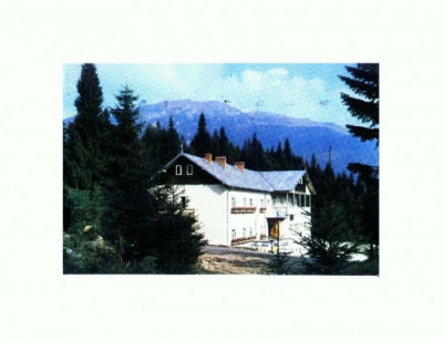 CP143-66 Sinaia, Cabana Cuibul Dorului -circulata foto