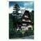 CP143-73 Sinaia, Vila Albina -circulata 1986