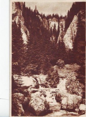 49 RPR Bucegi prin Cheile Ialomitei foto