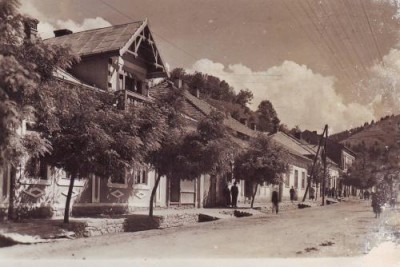 baia borsa,vedere generala foto