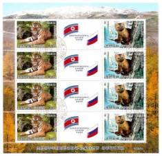 S2291 2005 NORD KOREA TIGRU + SAMUR BLOC DE 8v + 4 vignete stamp foto