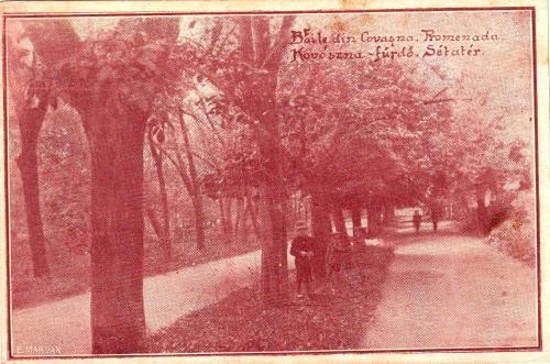 baile covasna,vedere din parc baile covasna,vedere din parc