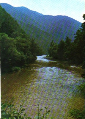 bnk cp muntii apuseni - valea ariesului foto