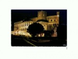 CP130-70 Pricipaute de Monaco -Le Palais du Prince - necirc.
