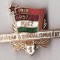 insigna ungureasca 1919-1957