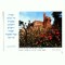 CP131-14 Jerusalem, The Citadel (David`s Tower) -necirculata