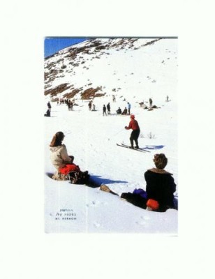CP131-16 Golan Heights -Mt. Hermon -necirculata foto